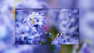 Free Pikmin 4 March 2024 Edition Wallpaper Now Available