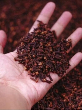 Incredible Health Benefits Of Eating 2 Cloves Daily