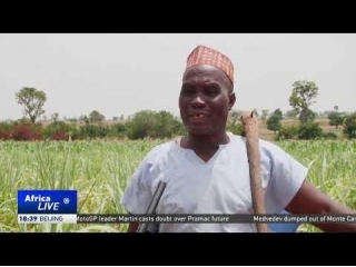Video - Mass Abductions Negatively Impact Food Production In Nigeria