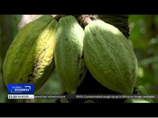 Video - Nigeria Aims To Ramp Up Cocoa Production Amid Global Shortages