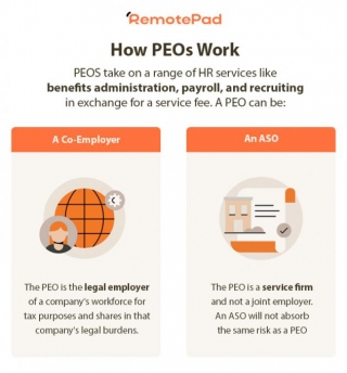 What Is A PEO? Guide To Professional Employer Organizations