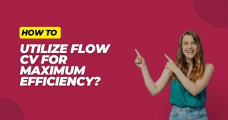 How To Utilize FlowCV For Maximum Efficiency?