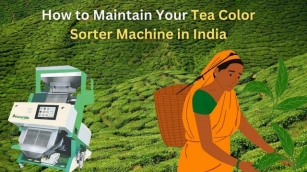 How To Maintain Your Tea Color Sorter Machine In India