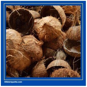 Coconut Shell Charcoal Briquettes – Renewable Energy From Waste