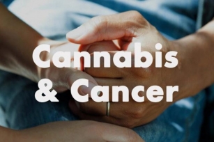 Cannabis And Cancer