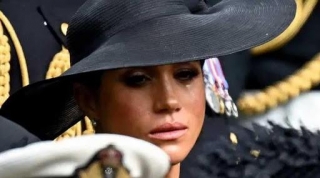 Meghan Markle May Never Act Again