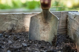 8 Common Mistakes Every Gardener Should Avoid