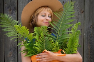 Adding Ferns To Your Garden: A Green Elegance