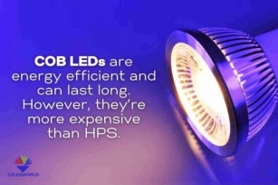 COB LED Vs HPS: A Comprehensive Comparison Guide