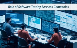 What Should You Look For In A Software Testing Services Provider?