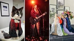 Badger The Cat Has A Collection Of Taylor Swift Ears Tour Costumes