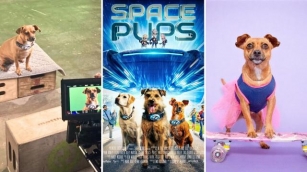 Meet Salsa, Rescue Dog And Star Of The Movie ‘Space Pups’