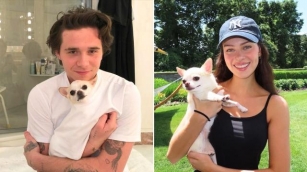 Brooklyn Beckham And Nicola Peltz Share Their Rescue Dog Suddenly Died After Groomer Visit
