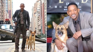 Will Smith Share How He Tried To Adopt Abbey The Dog, His ‘Brilliant Actress’ Costar From ‘I Am Legend’
