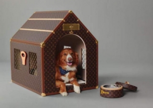 Pharrell Williams Launches “Dandy Dog Walkers” Collection For Louis Vuitton