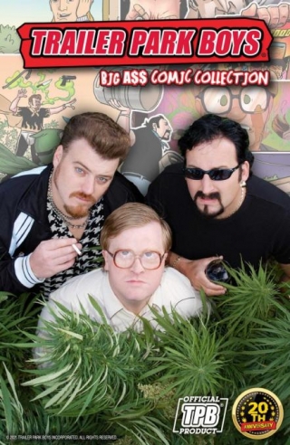 What Happened To Ray On Trailer Park Boys?