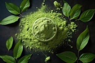 Unveiling White Borneo Kratom: Benefits, Uses, And Safety Considerations