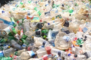 Monday Statistics: The Environmental Problems Caused By Plastics And Earth Day In 2024