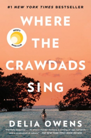 20 Great & Incredible Books Like Where The Crawdads Sing By Delia Owens