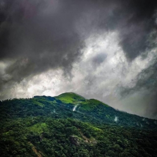 Why You Must Visit Pushpagiri Mountain: A Trekker’s Paradise