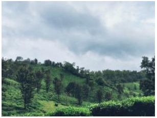 Here’s Why Kudremukh Falls Is A Must-Visit Destination