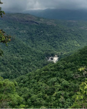 Chinnar Wildlife Sanctuary: A Natural Wonder Awaits