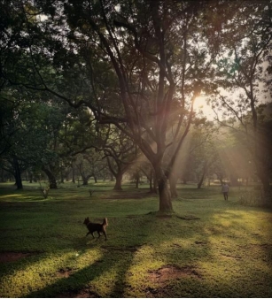 Picnic Spots In Bangalore: Where To Go For A Refreshing Break