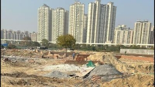 Noida Authority Frees 56,000 Sq M Land From Illegal Colonisers