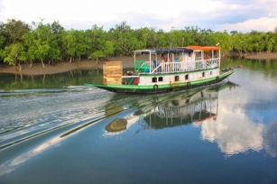 Sundarban Boat Rental: Exploring The Mystical Mangroves
