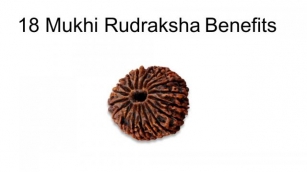 18 Mukhi Rudraksha, Benifits, How To Use, Etc