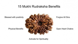 15 Mukhi Rudraksha: Benefits, Importance And Precautions