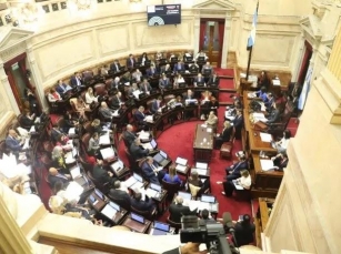 El Senado Aprobó La Ley Bases, Pero Vuelve A Diputados: Cómo Sigue El Proceso Legislativo