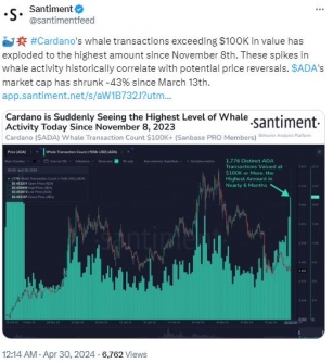 Whale Frenzy: Cardano Transactions Exceed $100K, Hitting New Highs