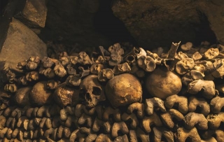 Explore The Unexplored Paris Catacombs Like Never Before