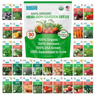 Best Hydroponic Seeds: Top Picks For Your Indoor Garden