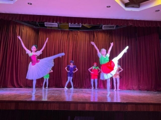 Annual Concert Of Russian Classical Ballet Held In Indian Capital