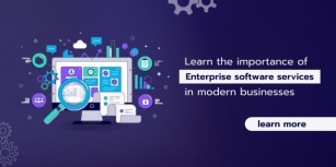 Learn The Importance Of Enterprise Software Services In Modern Businesses