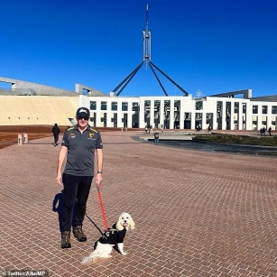 Why Aussies Are Furious Over This Ordinary Photo Of Anthony Albanese And His Dog Toto