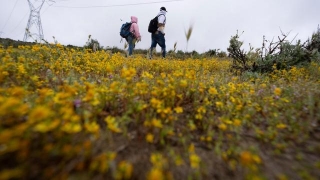 Mexico Tightens Travel Rules On Peruvians In A Show Of Visa Diplomacy To Slow Migration To US