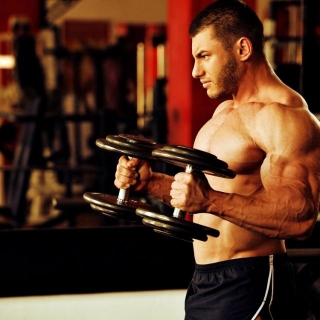 Hammer Curl: What It Is And How To Do It