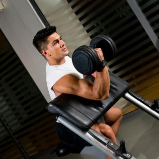 Preacher Curl With Dumbbell
