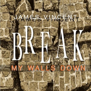 James Vincent - Break My Walls Down