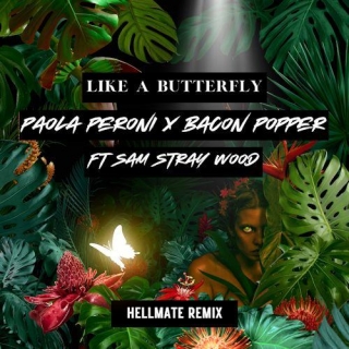 Paola Peroni, Bacon Popper Feat. Sam Stray Wood - Like A Butterfly