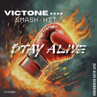 VicTone - Smash Hit