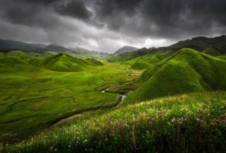 Dzukou Valley: Discover The Serene Beauty Of Nagaland's Hidden Gem