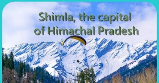 Shimla: Where Mountains Meet Momos (and So Much More!)