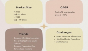 The Market Analysis Of Indian Diabetes Industry With Segmentation And Trends