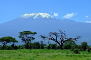 Tips And Tricks For Climbing Mount Kilimanjaro: Summit Success