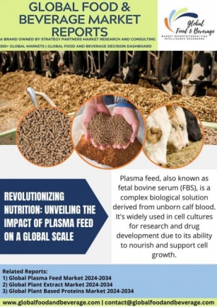 Plasma Feed Global Perspective: Unveiling The Impact Of Plasma Feed On The Future Of Nutrition