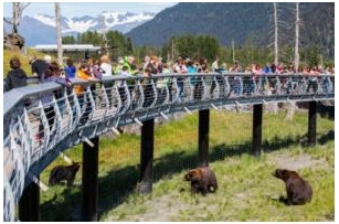 13 Best Things To Do In Anchorage, Alaska